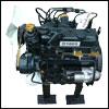 Dieselmotor Kubota D1005 25,0 PS 1001 ccm gebraucht